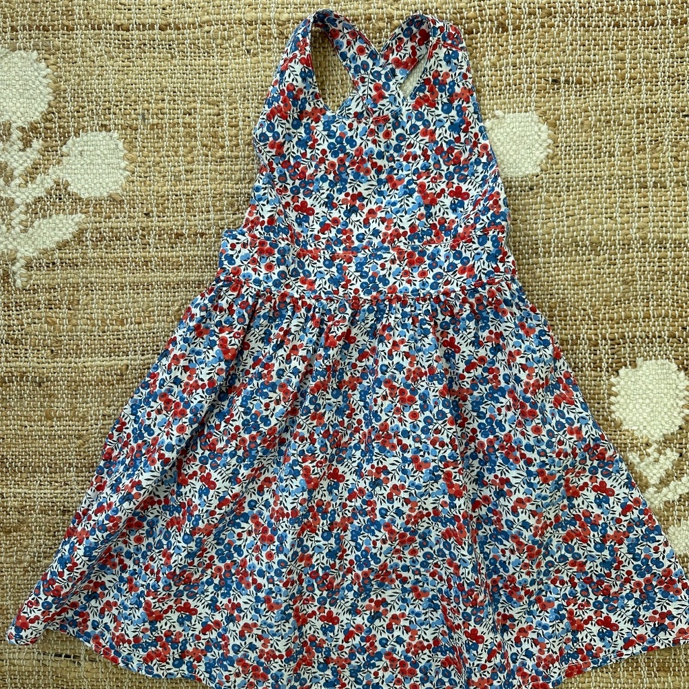 Girls Floral Fit-and-Flare Dress in Red & Blue